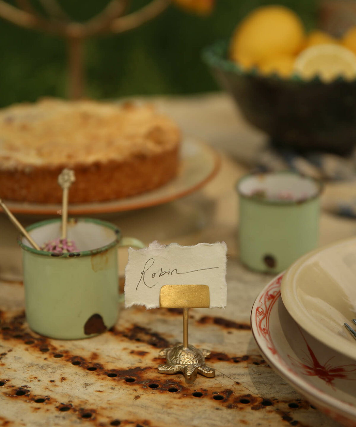 Lily Turtle Card Holder