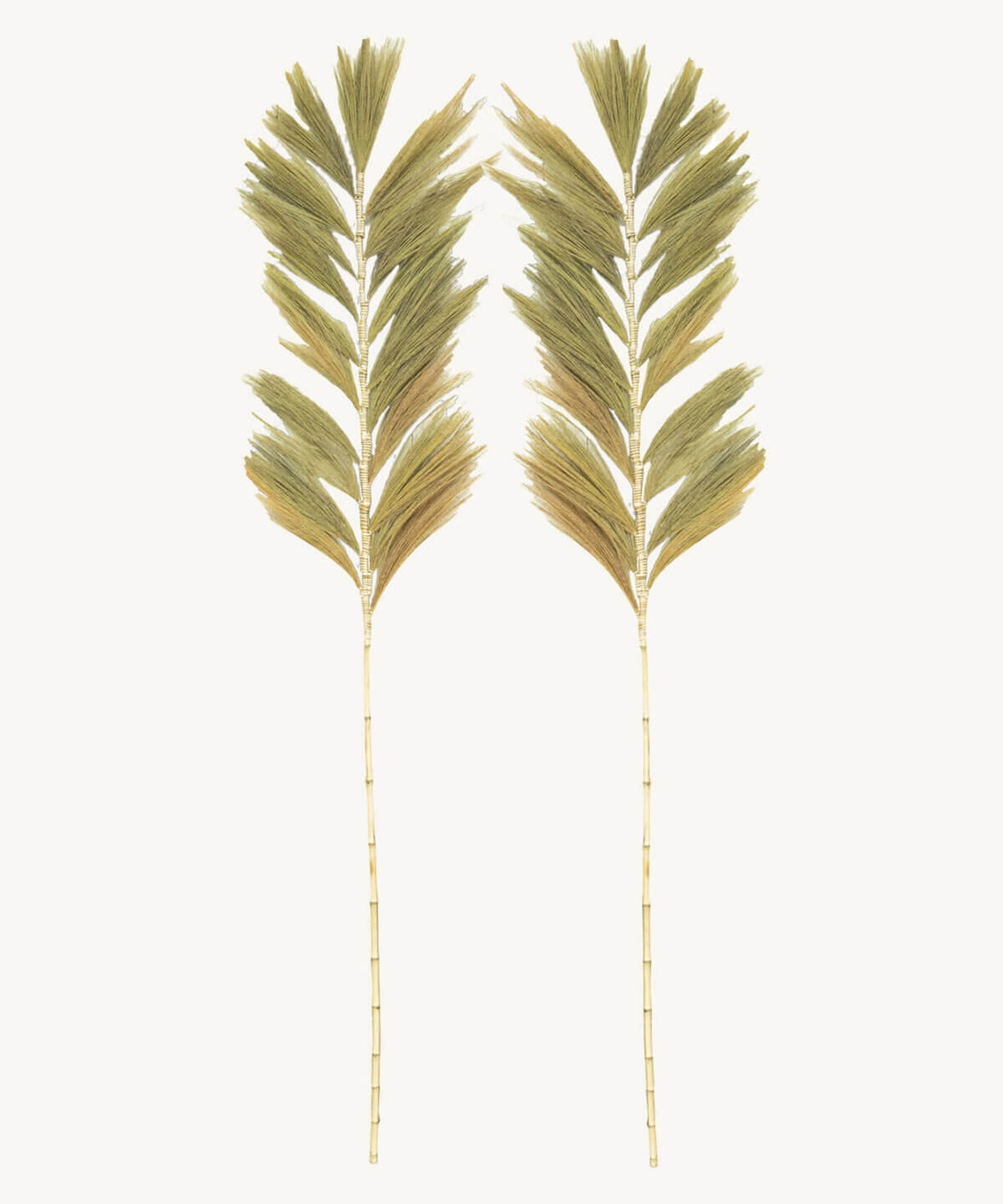 Wavy Palm Leaf set of 2