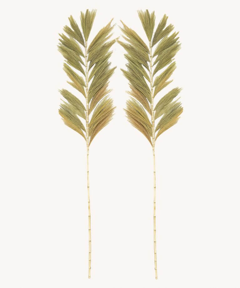 Wavy Palm Leaf