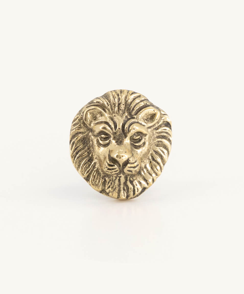 Lovesome Lion Knop