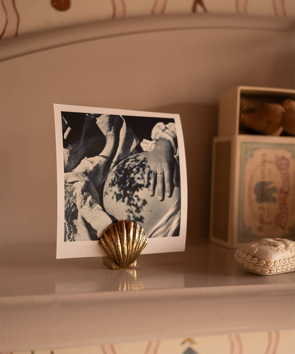 Scarlett Shell Card Holder