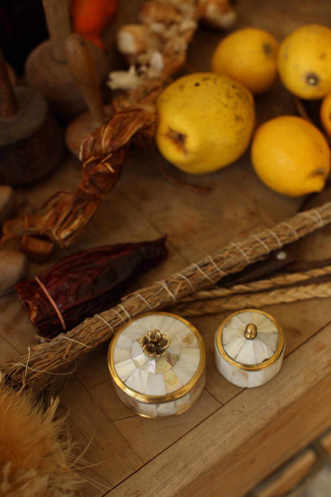 Boîte de Cirque Maisie Moyenne Nacrée