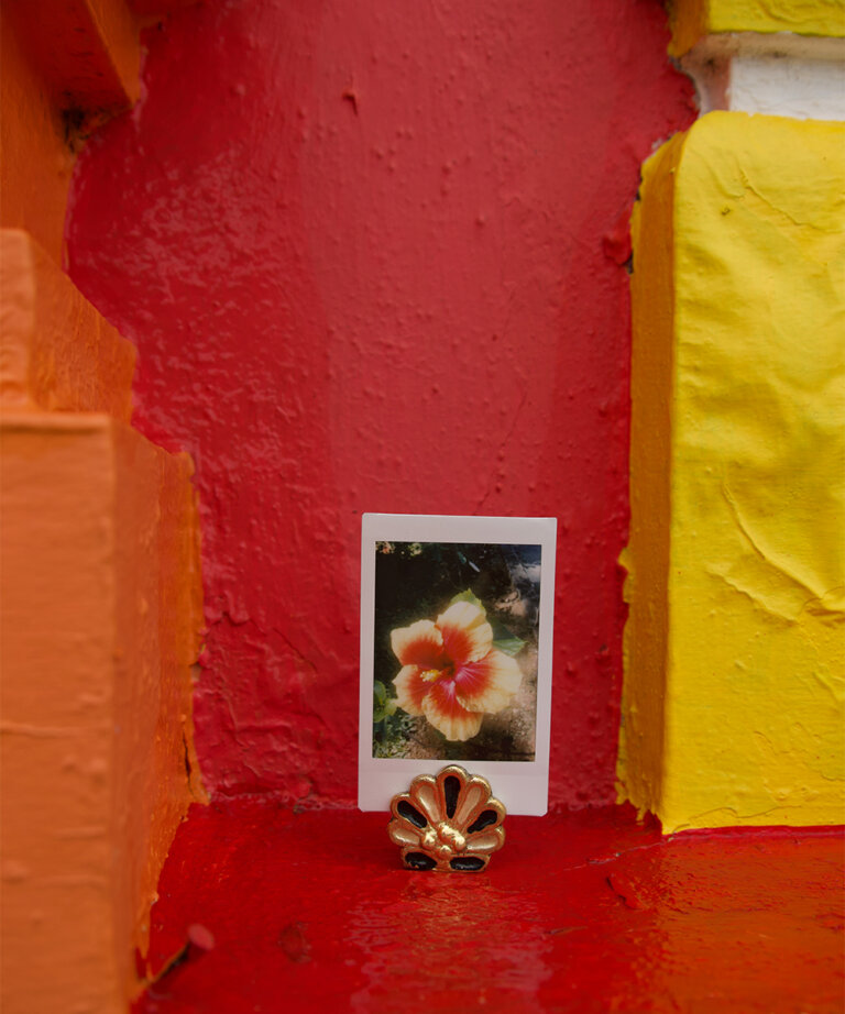 Rosie Roset Card Holder