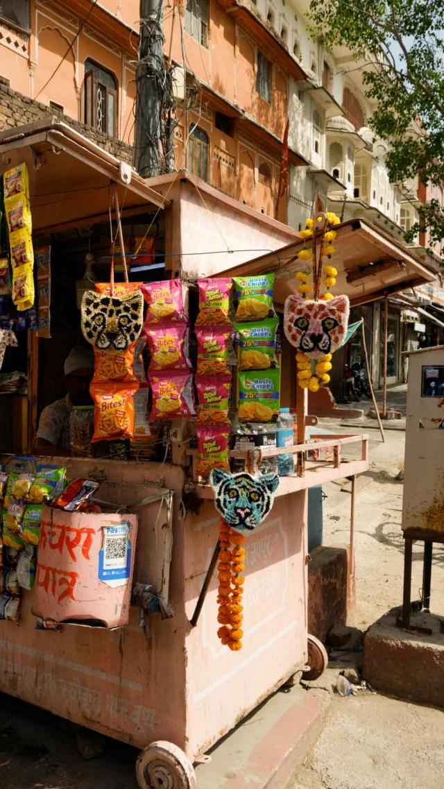 Our kind of snack stall 🐯🌸 Cute, collectable, and dangerously tempting...